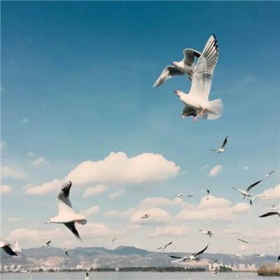 澳门第一娱乐娱城官网app下载